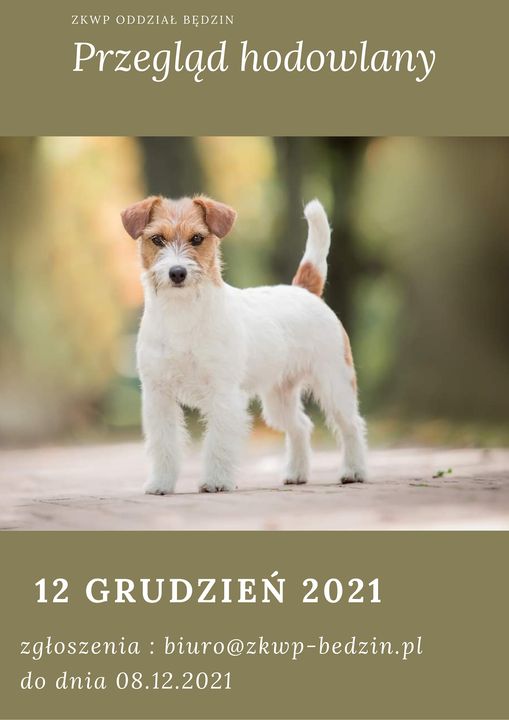 12.12.2021