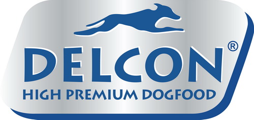 Delcon-logo.jpg