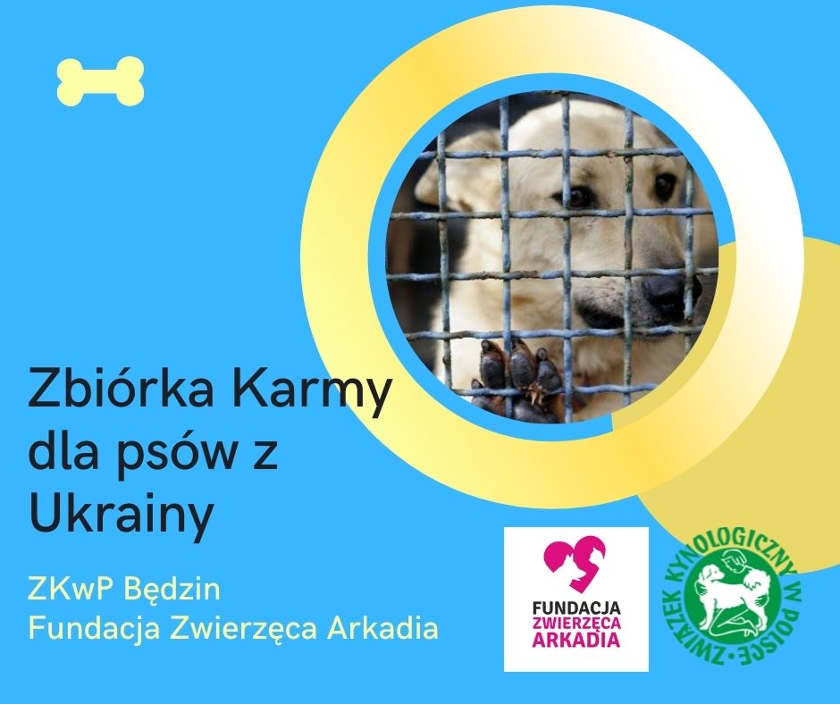 Zbiórka Karmy dla psów z Ukrainy
