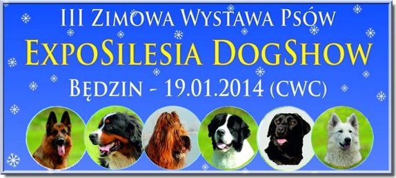 dog shows expo silesia 2014