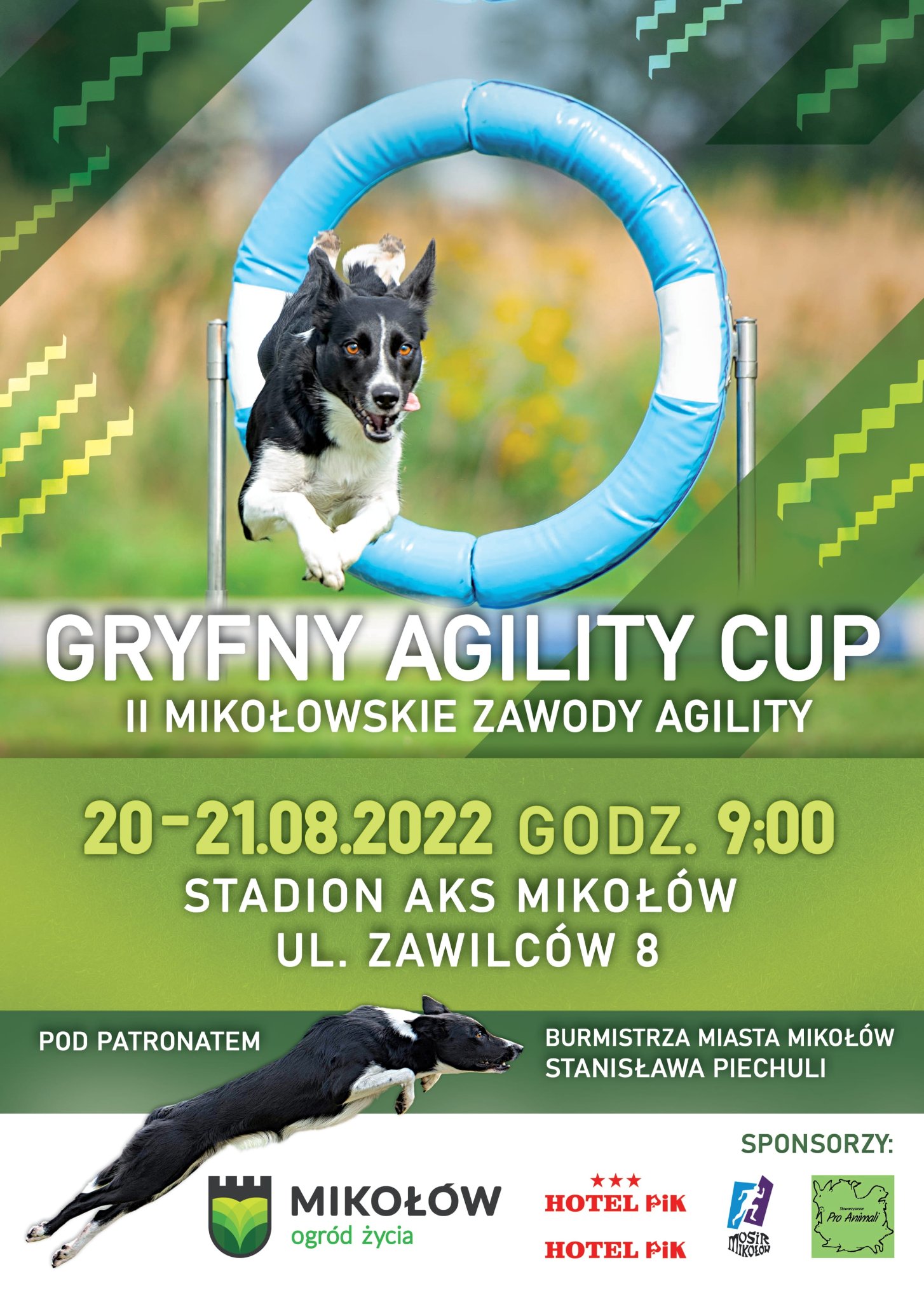 gryfny agility