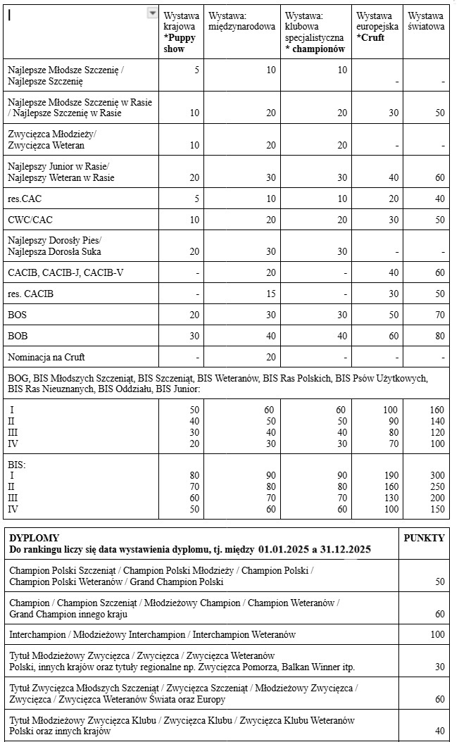 punktacja nowa ranking 2024