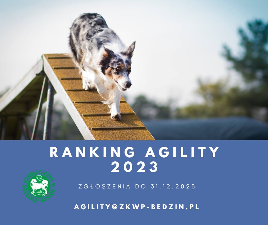 ranking agility 2023