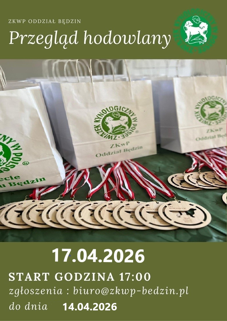 641642024 1356478503175229 2616499771632590334 n