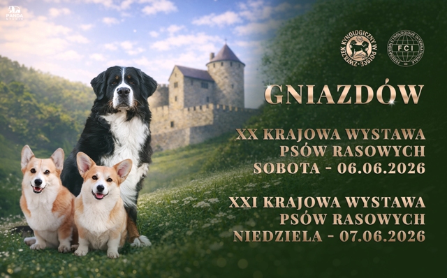 gnizadow3jpg
