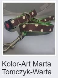 kolor-art.jpg