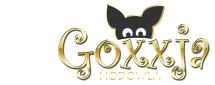 logo_goxxja.png