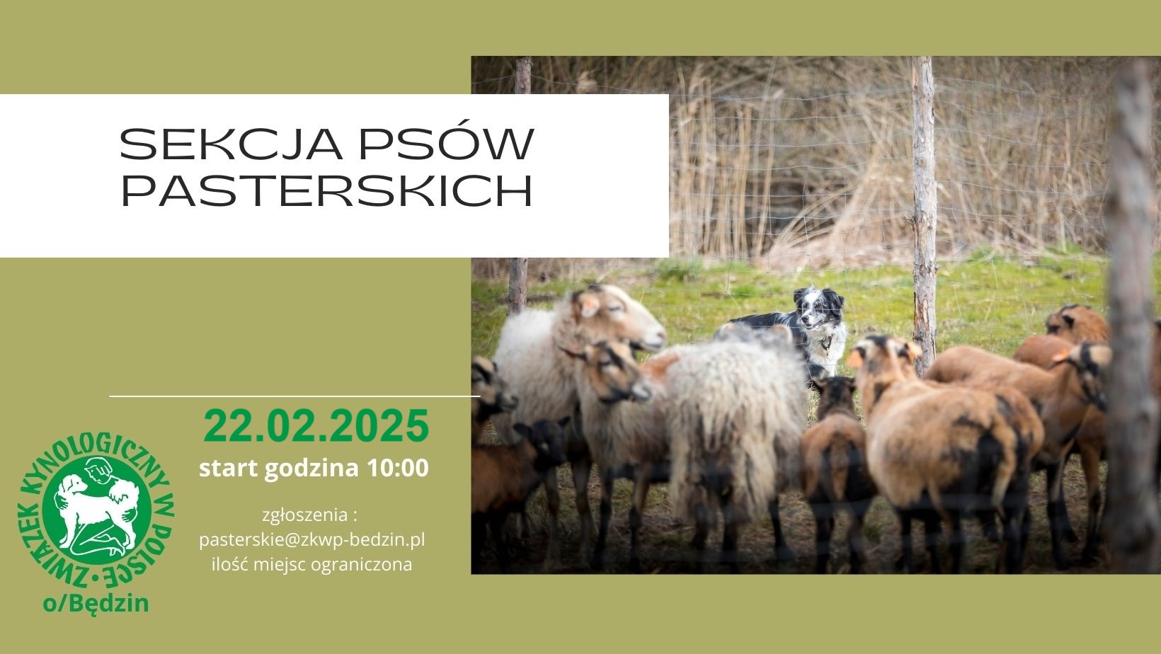 pasterskie22.02.25