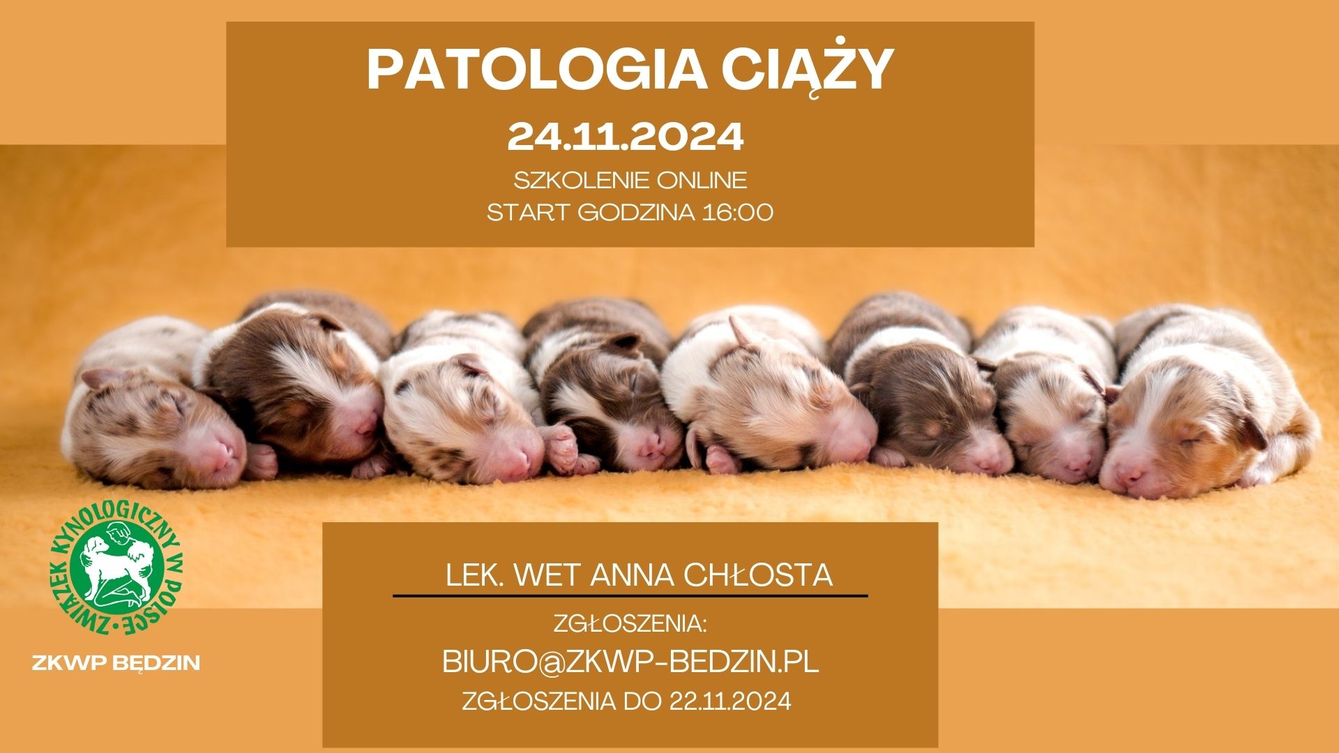 patologia ciąży2024