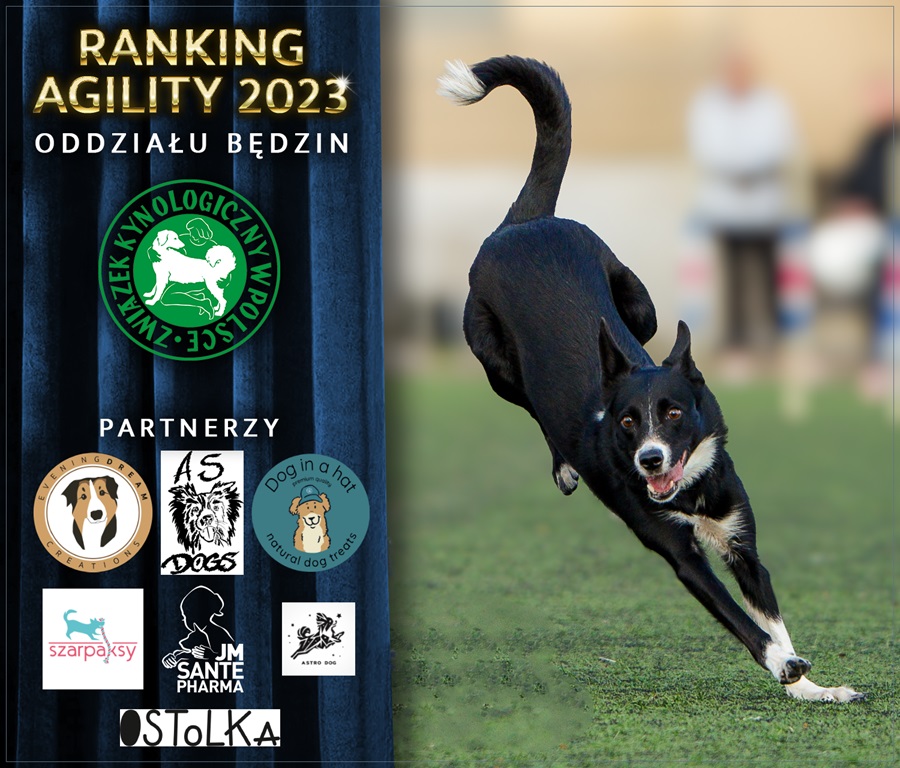 plakat ranking 2023