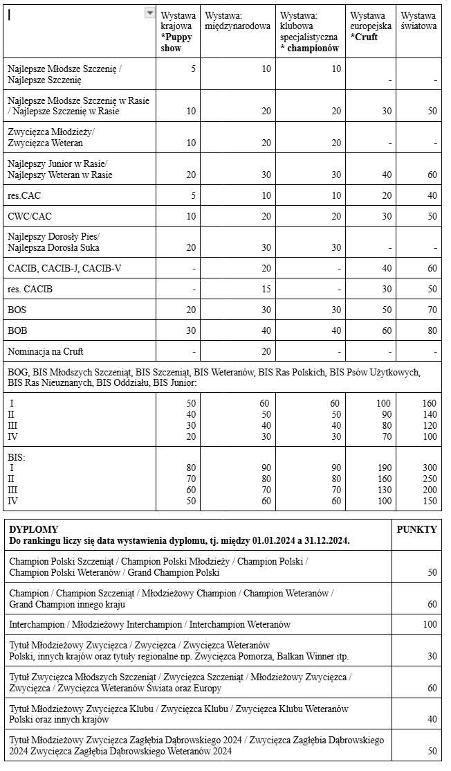 punktacja nowa ranking 2024