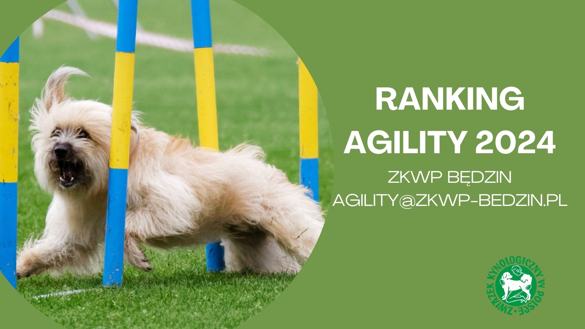 ranking agilty2024